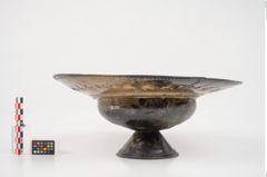 Foto von Bronzebreitrandfußschale (NHMW-PRAE-025275)